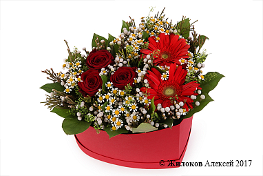 ����� �������� ���������� � ������� ������� ������