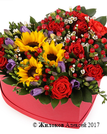 ����� ������ � ���� � ������� ������� ������