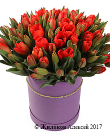 ����� 101 ����������� ������� � ���������� ������� �������, ������-���������