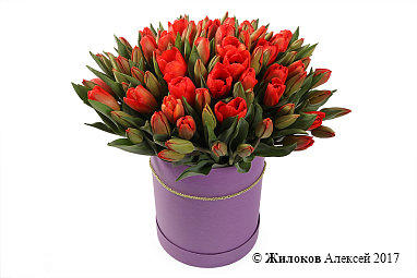 ����� 101 ����������� ������� � ���������� ������� �������, ������-���������