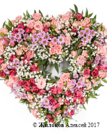 ����� �������� ������