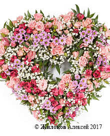 ����� �������� ������