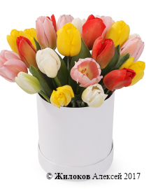 ����� 25 ����������� ��������� � ������� �������, ����