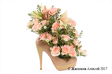 ���������� ���� �����