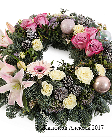 ����� ������ ����