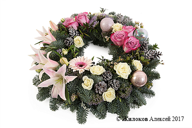 ����� ������ ����