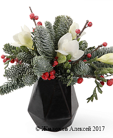 ���������� ���������� ����