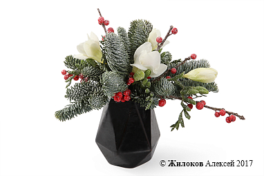 ���������� ���������� ����