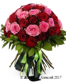 ����� ��������� ��������