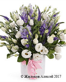 ����� ������� ����� � ������� �������