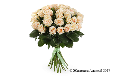 ����� 35 ��� �����