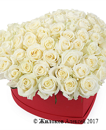 ����� ������ ������ � ������� ������� ������