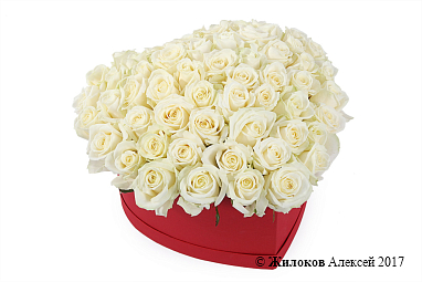 ����� ������ ������ � ������� ������� ������