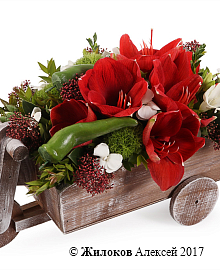 ���������� � �������������� ������ ���� � �����