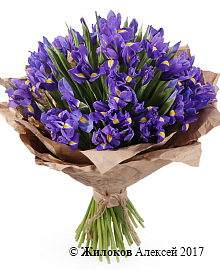 ����� �� ������ ������ (�����)