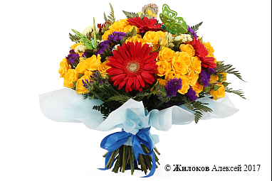 ����� ������ ������