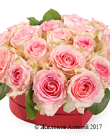 ���������� ���� ������ � ������� ������� ������ (����)