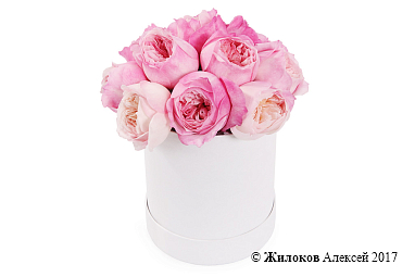 ����� ������� ����� � ������� �������