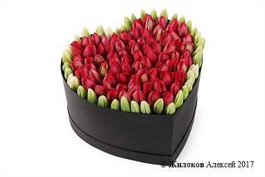 ���������� �������� ����������� � ������� ������� ������ (�����), �������