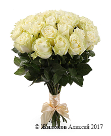 ����� 25 ��� ��������