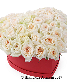 ����� ������ ����� � ������� ������� ������