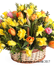 ����� � ���������� ������� ������� � �������