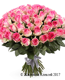 ����� 101 ���� ������