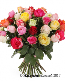 Букет Фламандская легенда (51 роза)