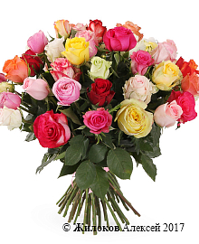 ����� ����������� ������� (51 ����)