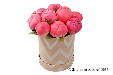 ����� 11 ���������� ������ � ������� �������