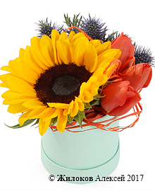 ����� ������ �� ������ � ������� �������