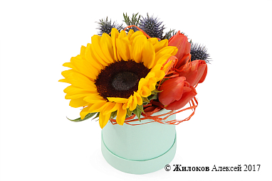 ����� ������ �� ������ � ������� �������