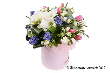 ����� �������� ��� � ������� �������