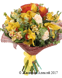 ����� ������� �����