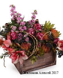 ���������� ��� � �����