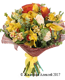 ����� ������� �����