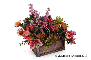 ���������� ��� � �����