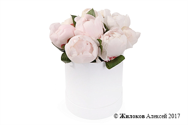 ����� 9 ������ � ������� �������