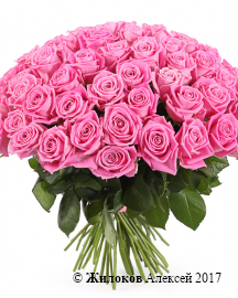 Букет 71 роза Аква