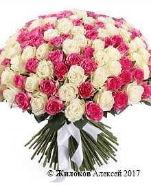 ����� �� � � (201 ����)