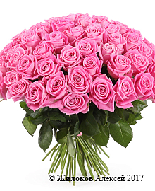 ����� 71 ���� ����