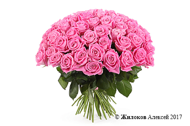 ����� 71 ���� ����