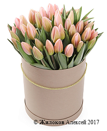 ����� 51 ������� � ���������� ������� �������, ���������