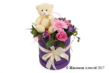 ����� ������ �������� � ������� �������