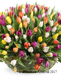 ����� ������ ��� ������ (301 �������)