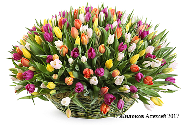 ����� ������ ��� ������ (301 �������)