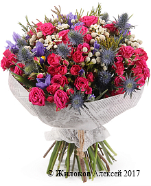 ����� ������ � �������