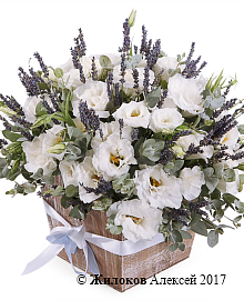 ���������� ����� ����� � �����