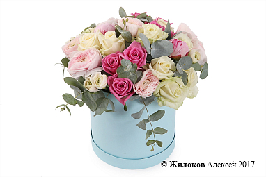 ����� ������ � ������� �������