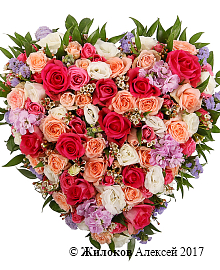 ����� ����� ������